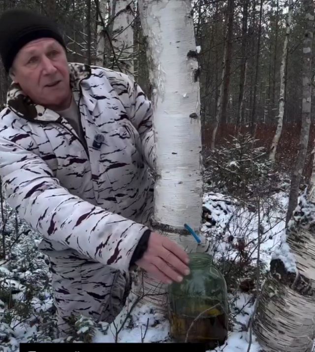 Хорошо настоявшийся березовый сок