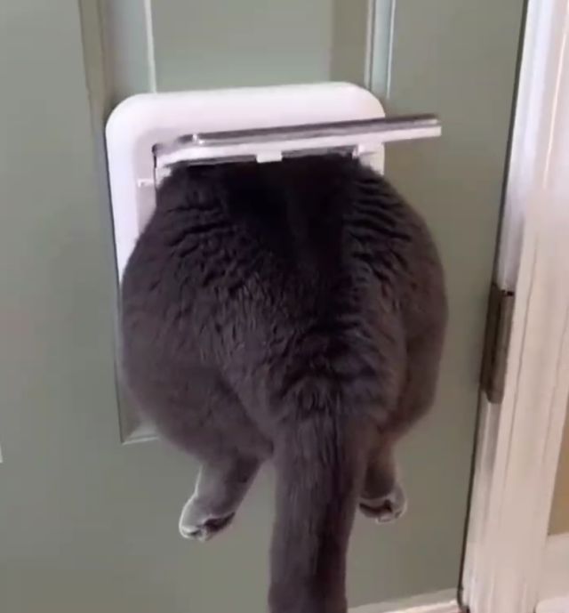 В любой ситуации надо сохранять невозмутимость