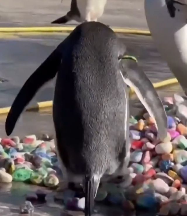 Мужики выбирают подарок на 8 марта своим женщинам