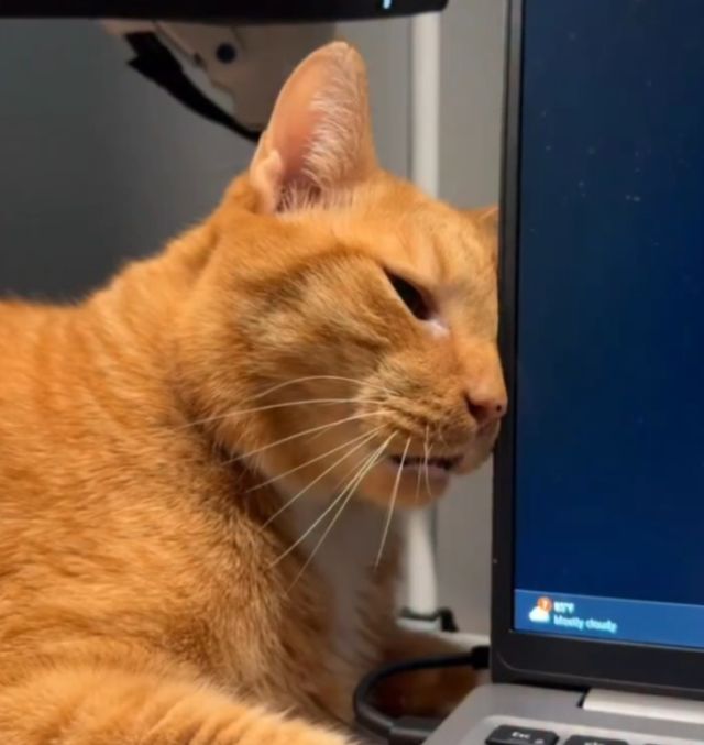 Когда вышел на работу после 3 дней выходных