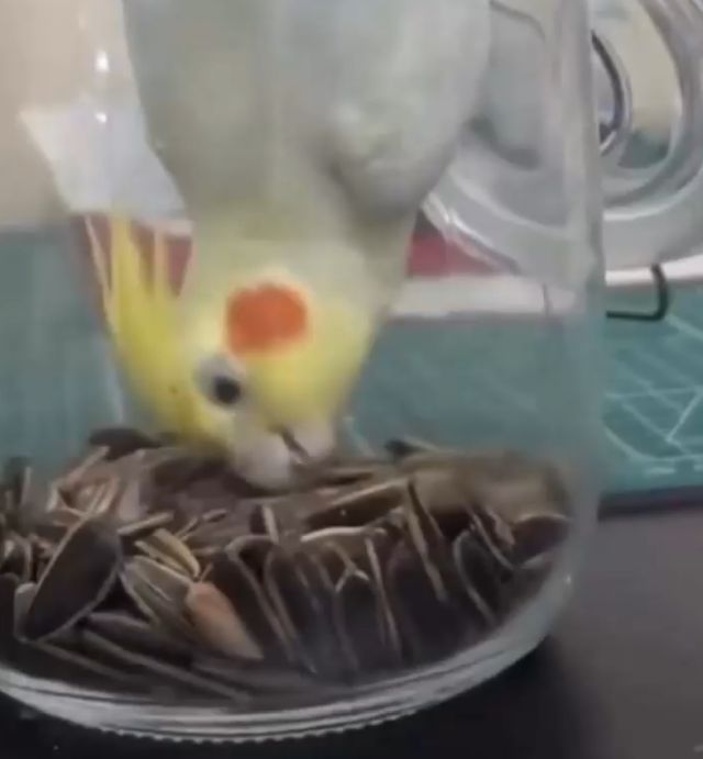 Пал жертвой собственных пороков