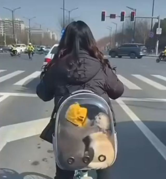 Когда решили съехаться в маленькой студии