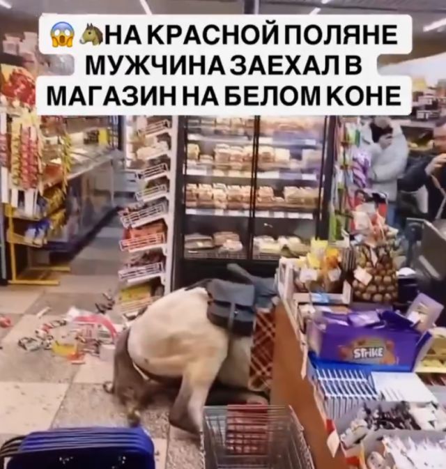 В Сочи пьяный мужик прямо на коне ворвался в продуктовый магазин