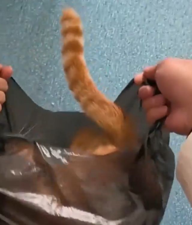 Часть команды — часть корабля