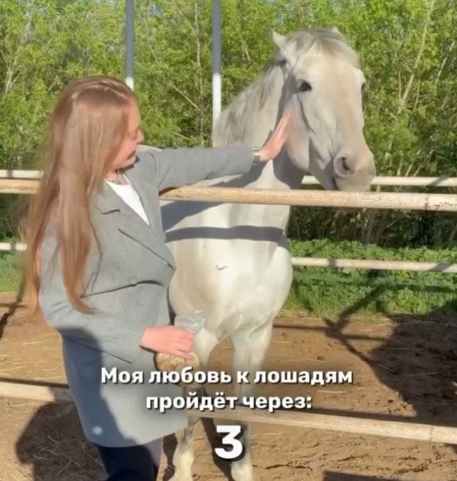 Лошадь укусила девушку за шею во время кормления в конюшне в Уфе