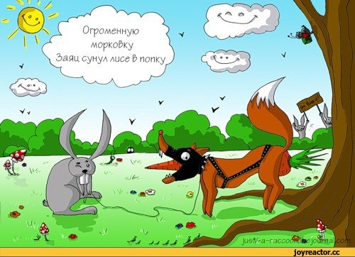 Анекдот Про Зайца И Лису