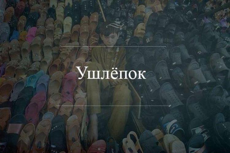 Ушлепок. Фотография ушлепок. Ушлепок демотиватор. Ушлепок картинка прикол.