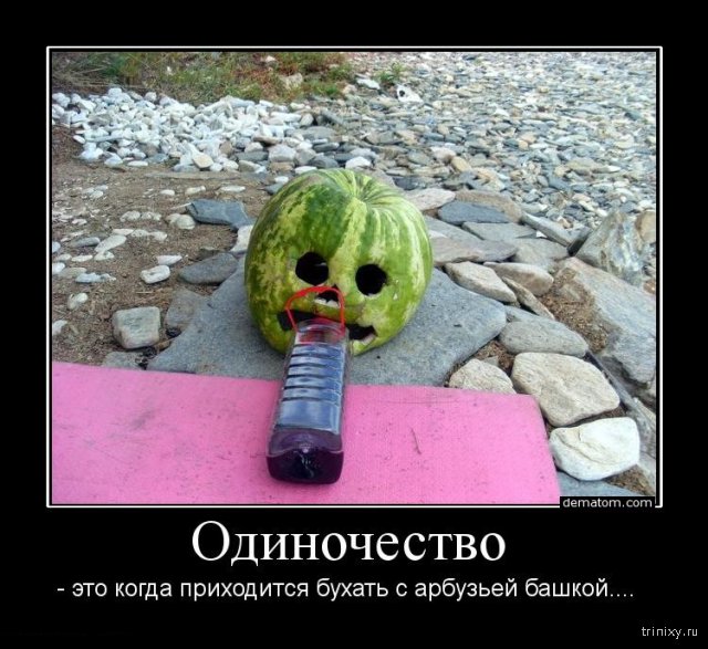 Одиночка картинки приколы
