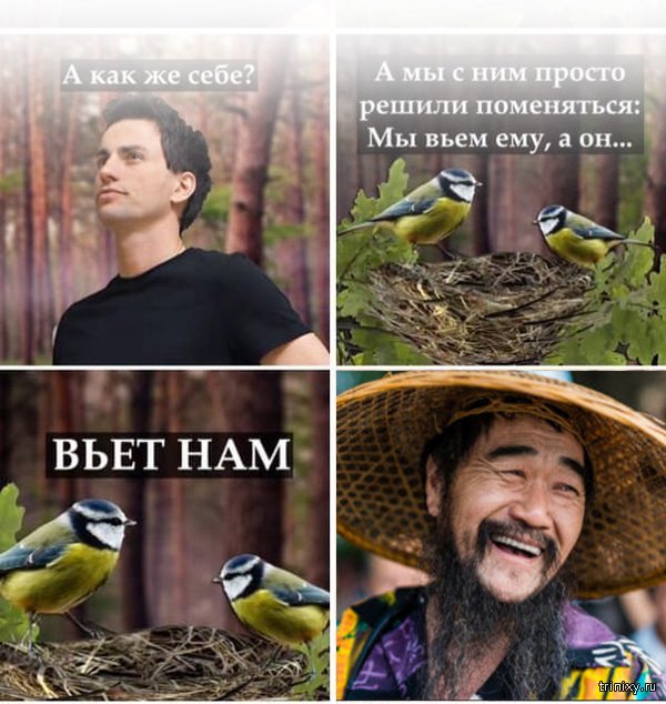 хоровод вейся капустка ноты. песня ай вили вили вили. песня ай вили вили вили. далс песня эльмундо. группа которая поет вили вон.