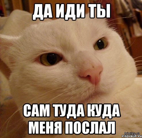 Да куда мне идти